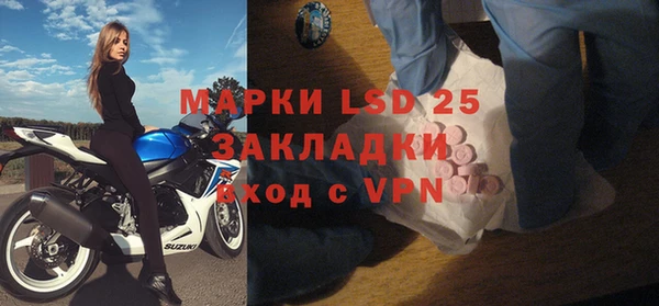 индика Алексеевка